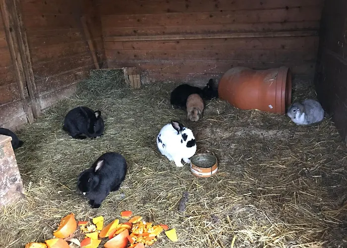 Barbara By Interhome Apartment