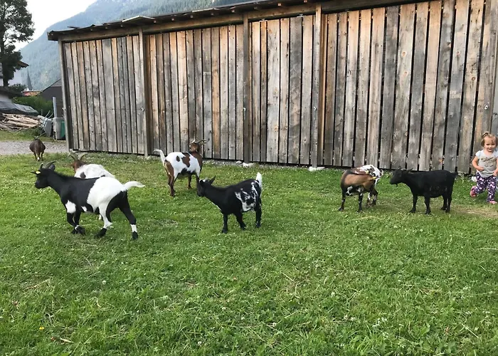 Barbara By Interhome Apartment Bichlbach