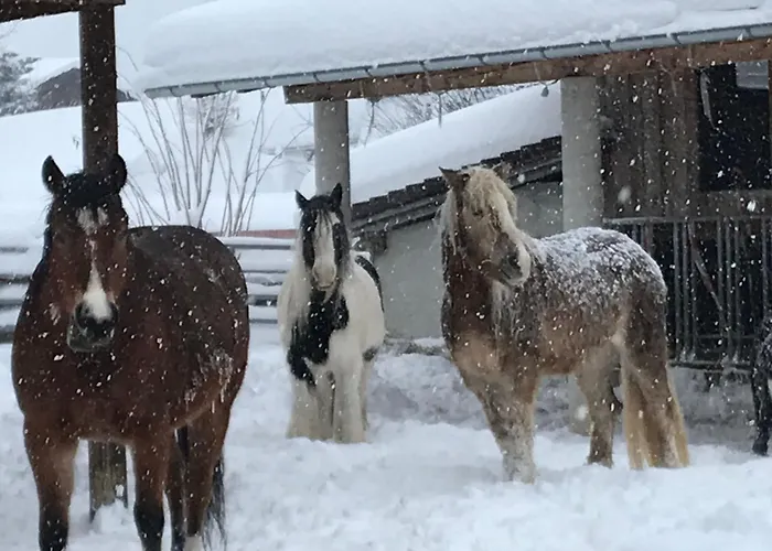 Barbara By Interhome Apartment Bichlbach