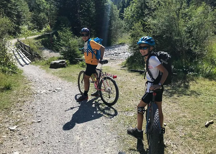 Apartment Barbara By Interhome Bichlbach